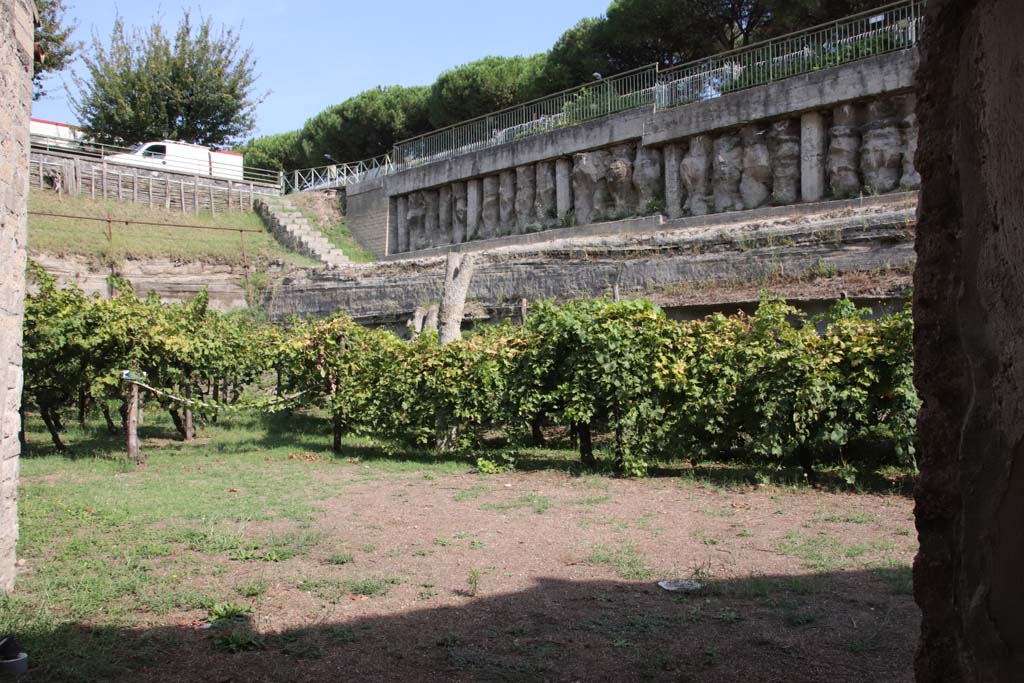 Villa Regina Boscoreale September Looking North From East Side